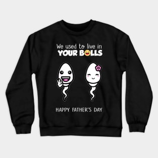 Funny Father's Day We Used To Live In Your Balls Crewneck Sweatshirt